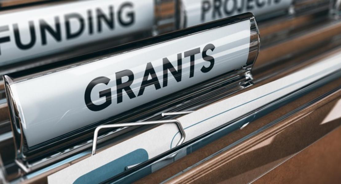 ReFinD awards five new grants  