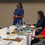 ReFinD Project Director Roselyn Adadzewa Otoo presents findings and recommendations from the Initiative’s multi-stakeholder roundtable